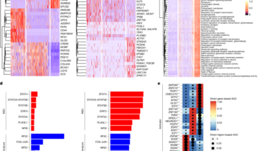 Human hippocampal neurogenesis in adulthood, ageing and Alzheimer’s disease