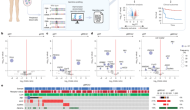 Homologous recombination deficiency and hemizygosity drive resistance in breast cancer