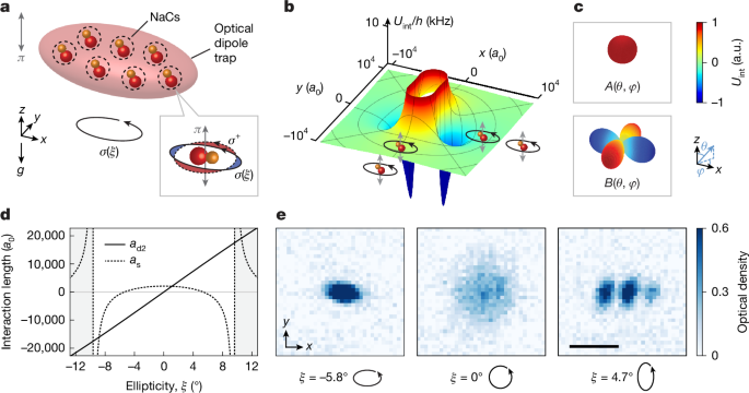 Observation of self-bound droplets of ultracold dipolar molecules