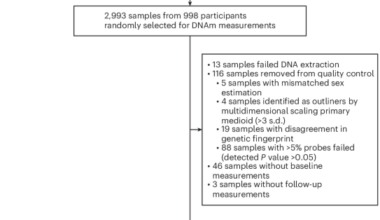 Effects of daily multivitamin–multimineral and cocoa extract supplementation on epigenetic aging clocks in the COSMOS randomized clinical trial