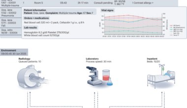 A clinical environment simulator for dynamic AI evaluation