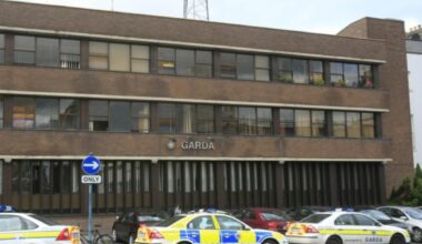 Barrister argues Limerick man’s ‘constitutional right’ to swear at garda