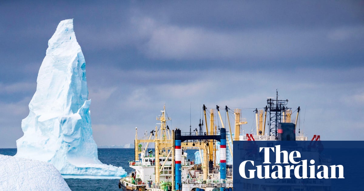 Antarctic whales’ remarkable comeback is threatened by krill fishing | Environment