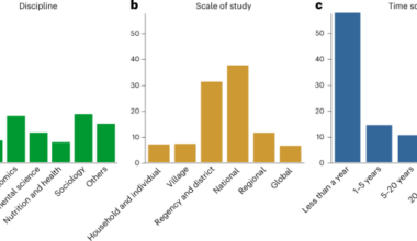 A systematic review of sustainable food systems identifies socio-economic pathways driving food systems transformations