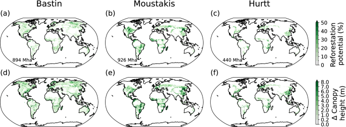 Reforestation scenarios shape global and regional temperature outcomes