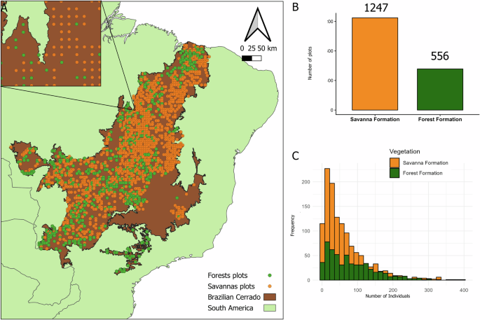 Mapping and revealing the tree biodiversity of the Brazilian Cerrado through biome-wide sampling efforts