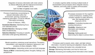 Reframing air pollution as a cognitive and socioeconomic risk