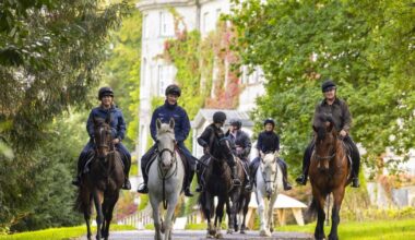 Take a horsey holiday for a staycation to remember