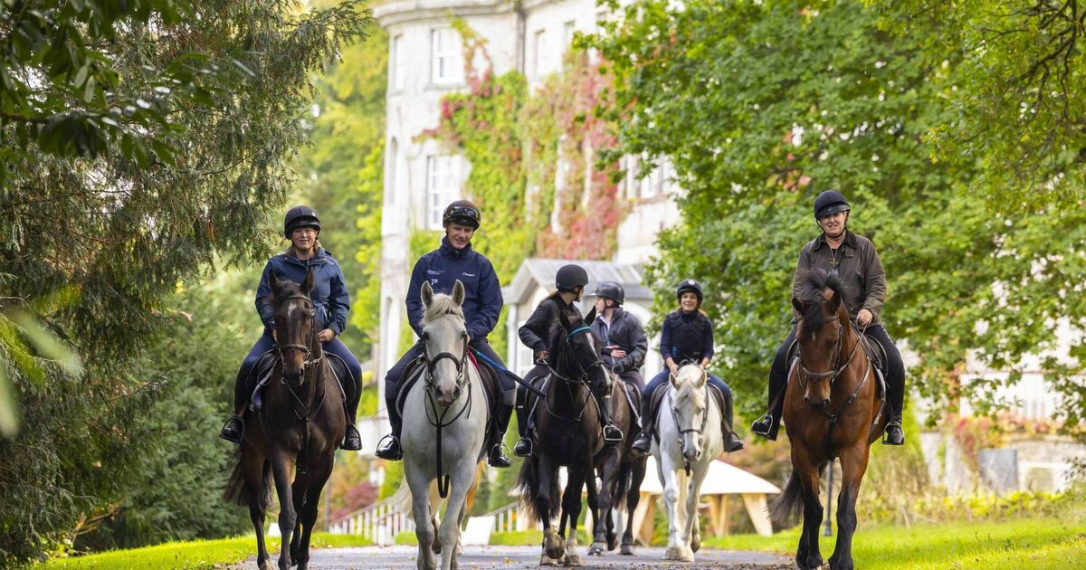 Take a horsey holiday for a staycation to remember