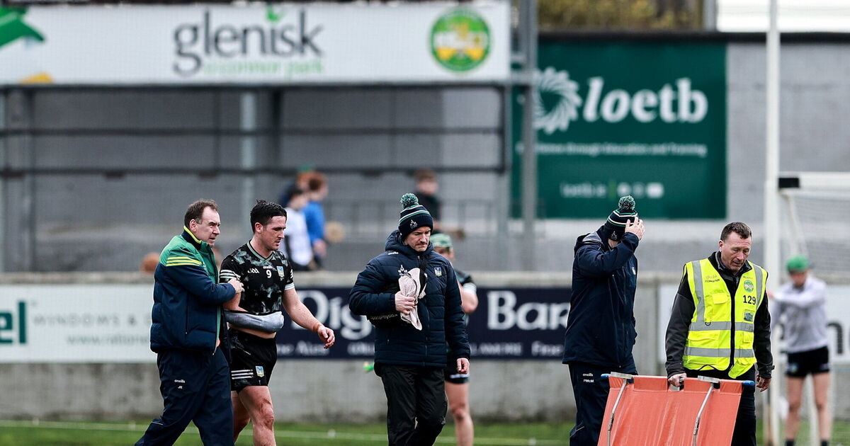 Limerick lose veteran Darragh O'Donovan 'for the foreseeable future'