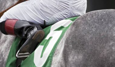 Auld Lehane back in the saddle for Cheltenham