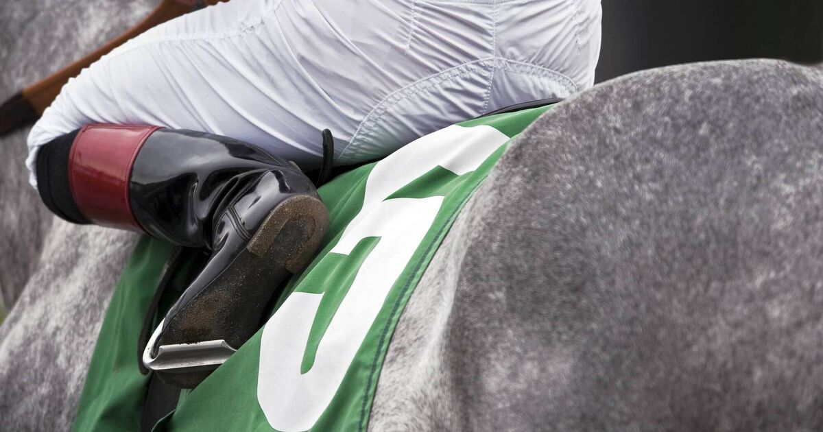 Auld Lehane back in the saddle for Cheltenham