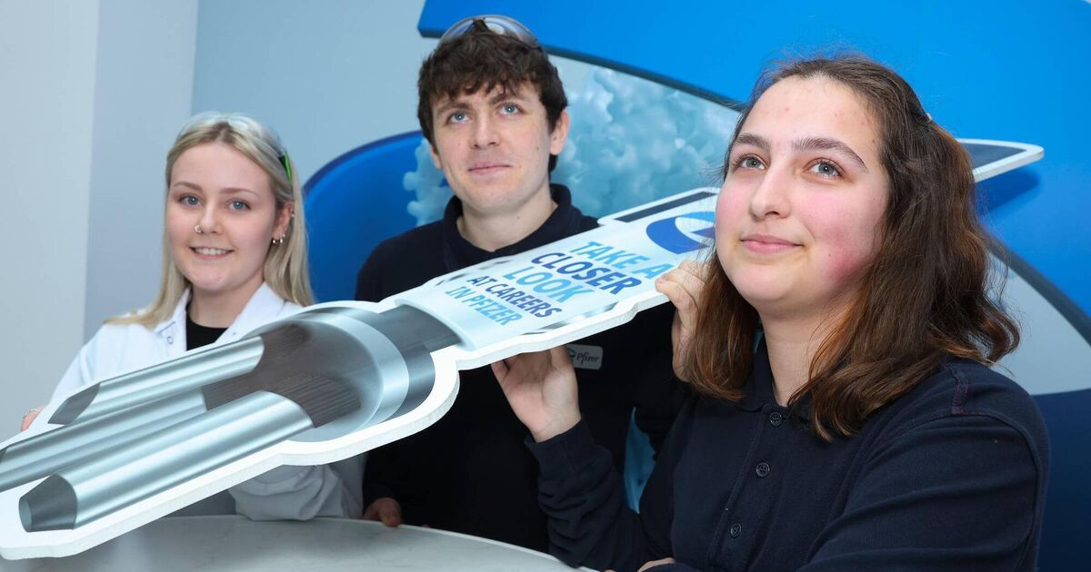 Pfizer launches recruitment drive for apprentices in Cork, Dublin, and Kildare