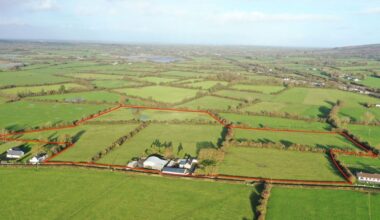 51-acre Cork farm fetches €23,000/acre in lively auction