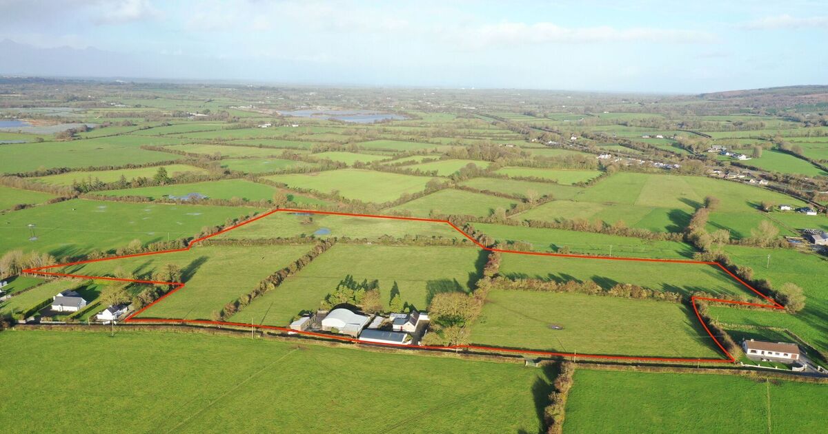 51-acre Cork farm fetches €23,000/acre in lively auction