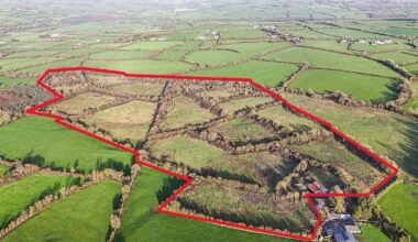 Kilkenny farm sells for €850,000 at lively auction