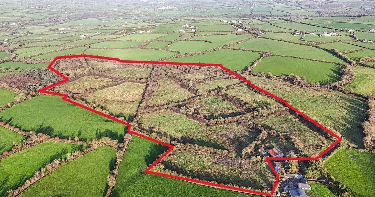 Kilkenny farm sells for €850,000 at lively auction