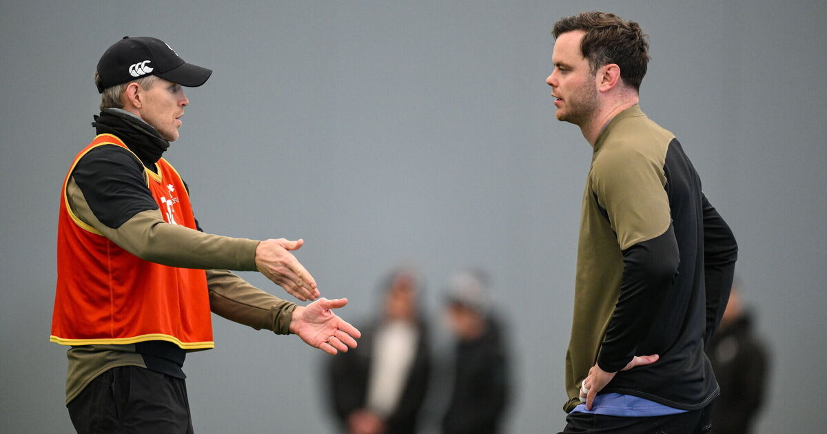 James Ryan hitting sweet spot in Ireland form