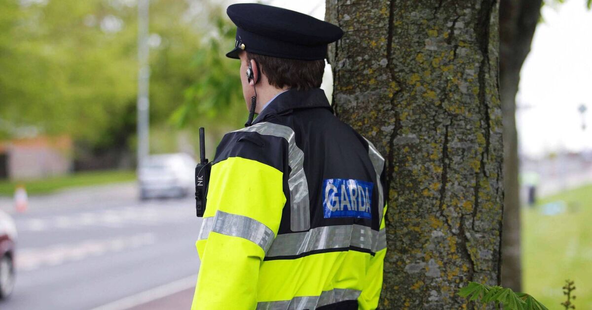 More gardaí and mental health services 'key' to safety