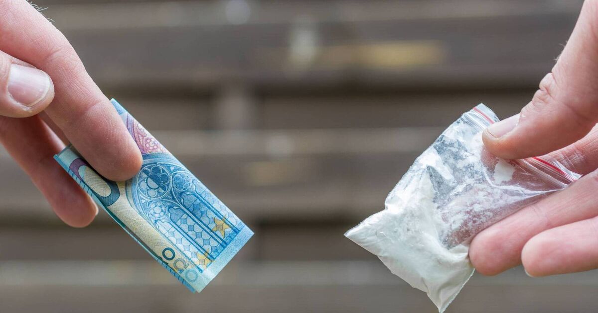 'Ireland should have wide range of options on drug possession'