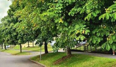 Cork residents object to cycle lane works