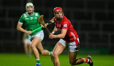 Green flags provide difference for Limerick again