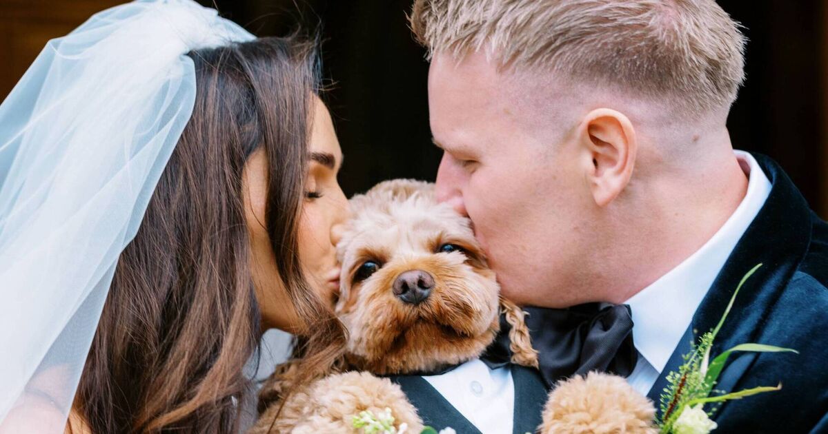Cavapoo Arnold stole the show as ring bearer on Cork couple's big day