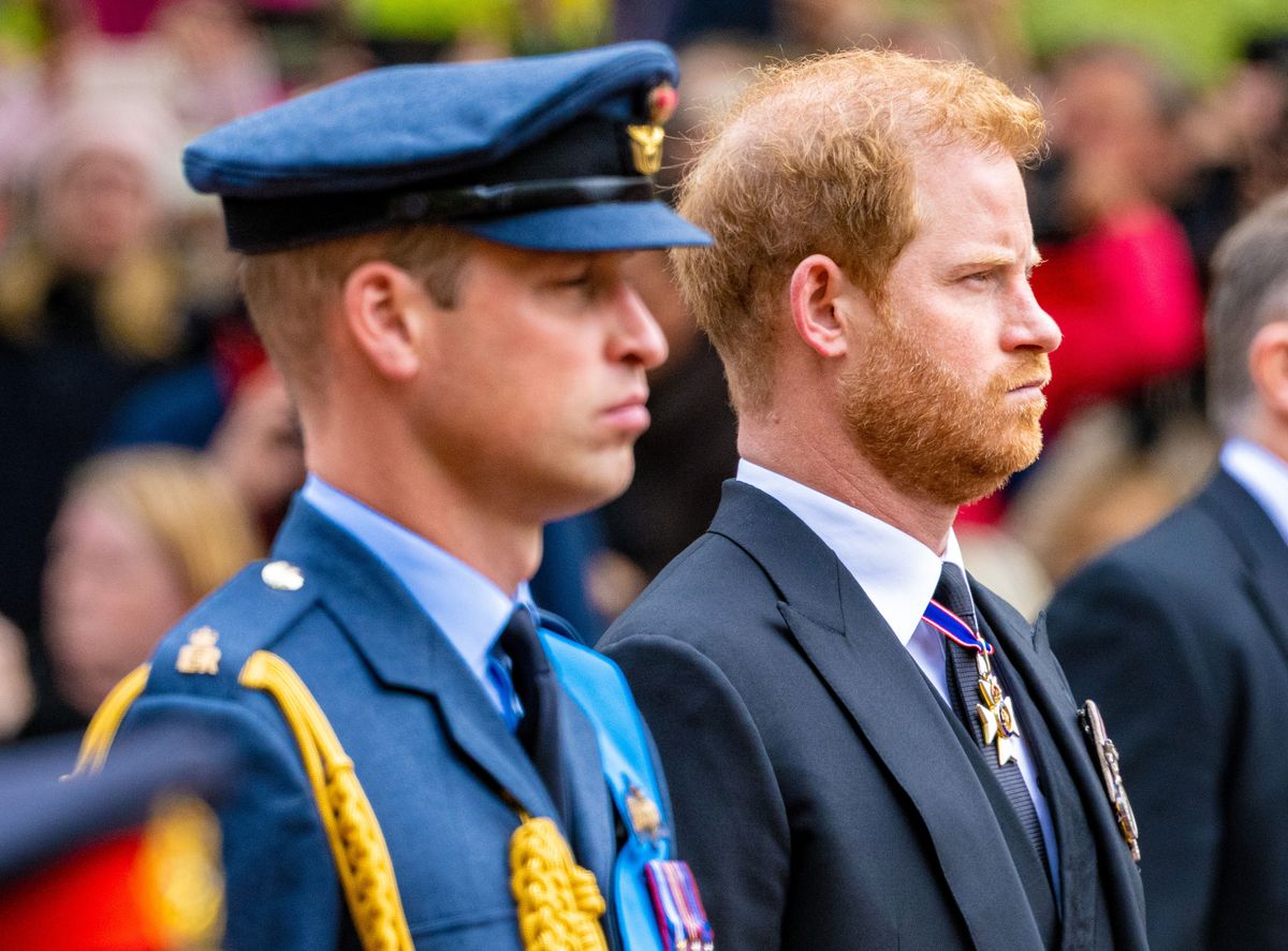Prince Harry and Prince William