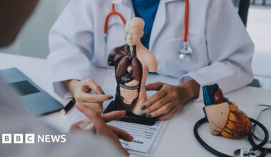 Doctor explaining heart to elderly patient.