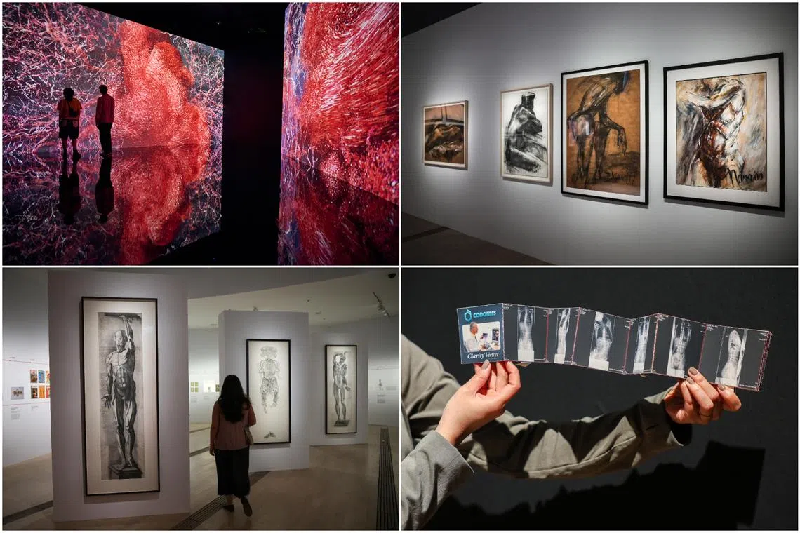 Flesh And Bones: The Art Of Anatomy opens on March 21.