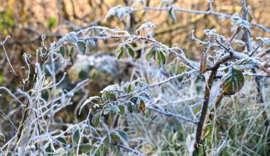Met Éireann warns travel disruption expected as yellow wind, rain and snow warnings issued