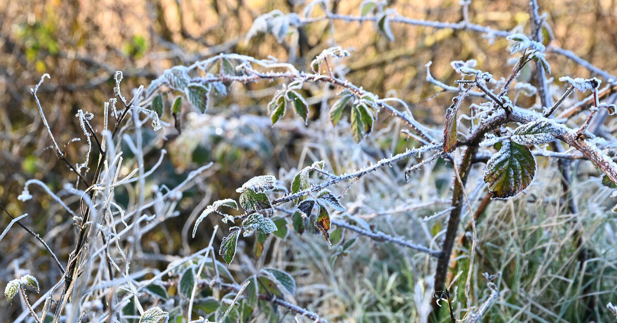 Met Éireann warns travel disruption expected as yellow wind, rain and snow warnings issued