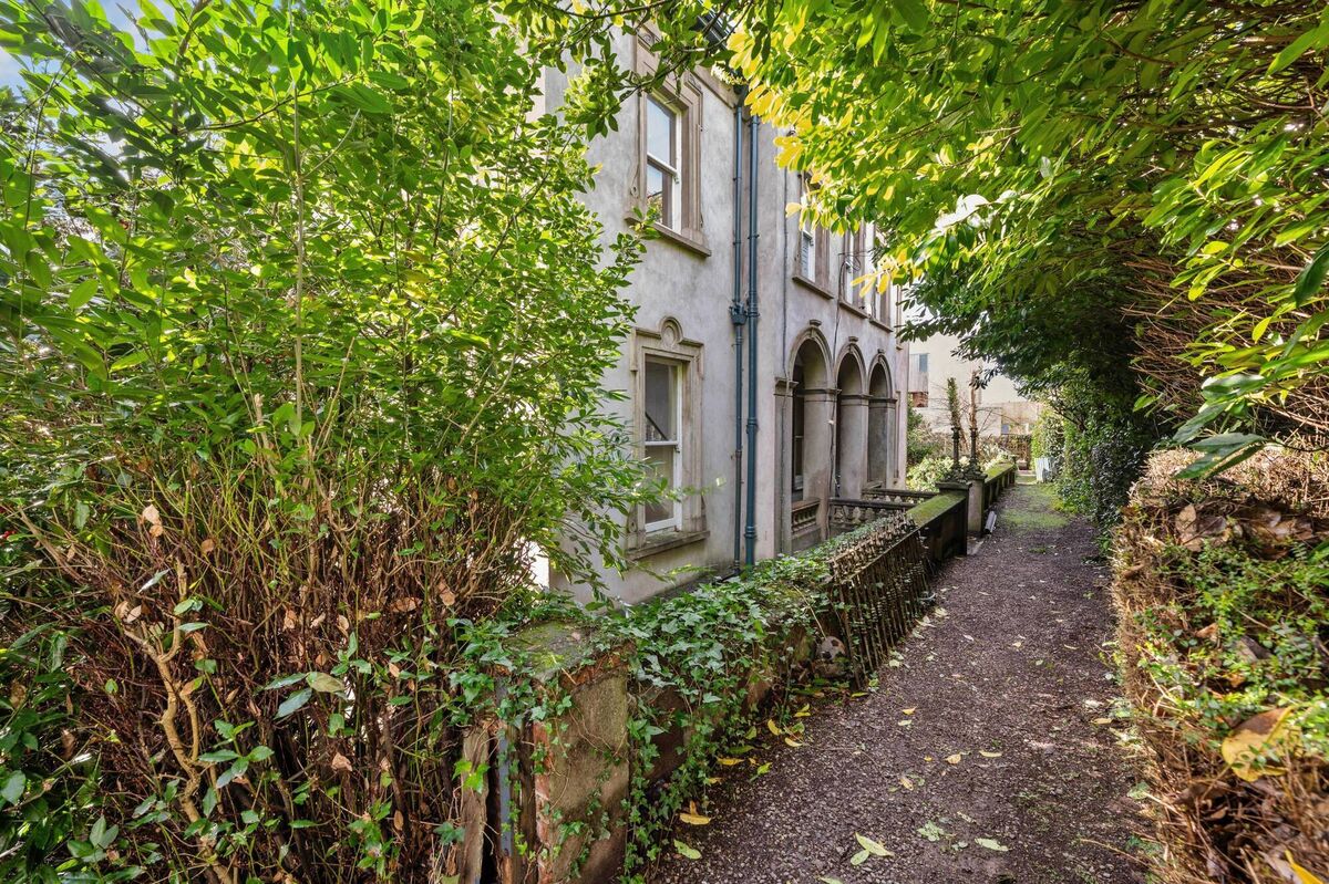Leafy entrance lane to Lee Villa
