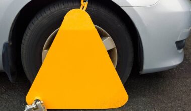 Cork man in court on charge of damaging and stealing car clamp