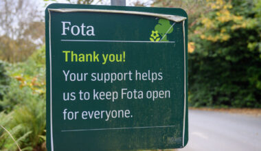 Fota maintains 'robust protocols' as bird flu confirmed at Cork lake 20km away