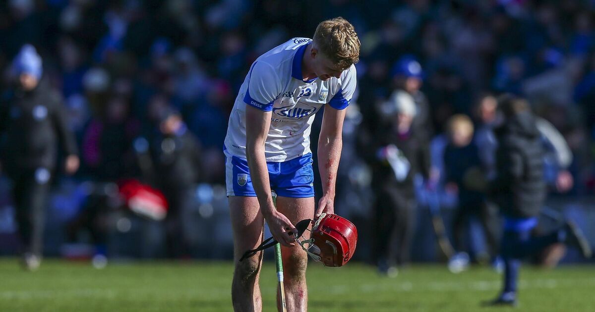 Waterford relegated to Division 1B after Tipperary reel in eight-point lead