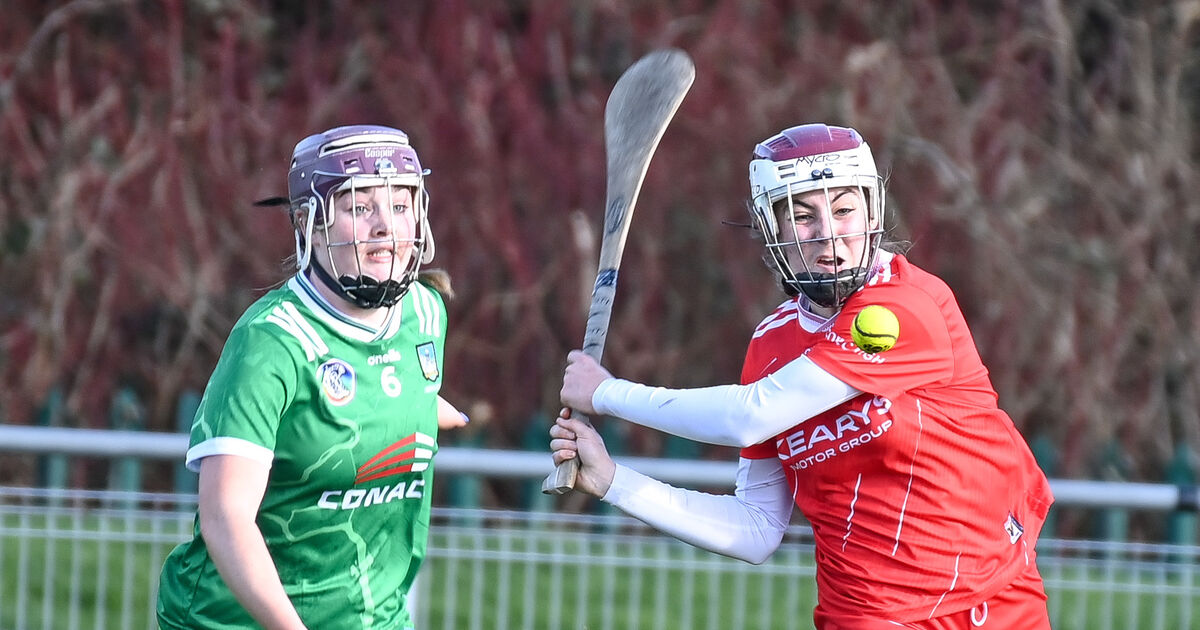 Cork back on track in All-Ireland minor camogie series with big win over Dublin