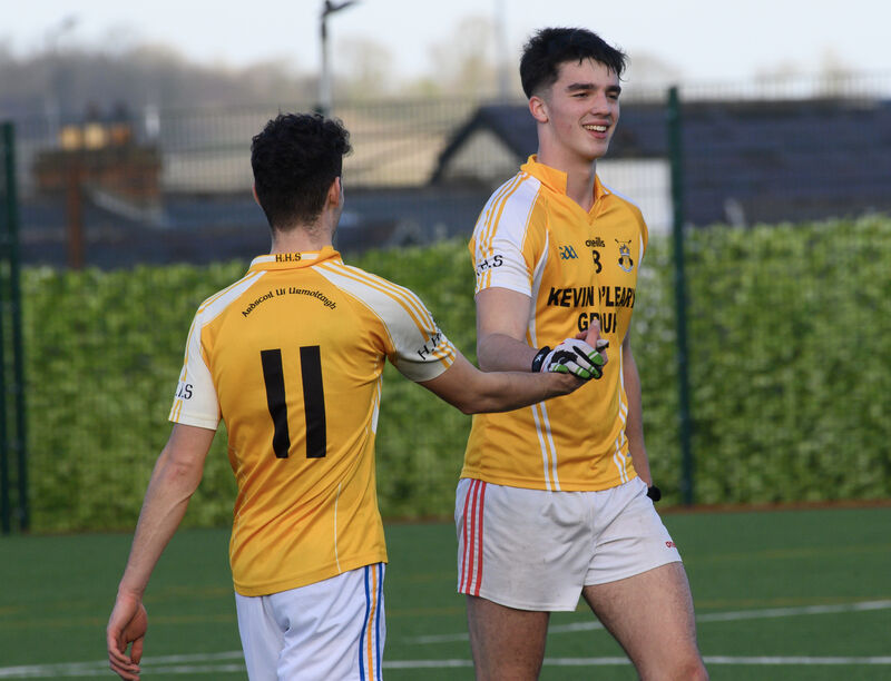  Oisín McCarthy and Oisín Gillain of Hamilton High School Bandon. Picture: Dan Linehan