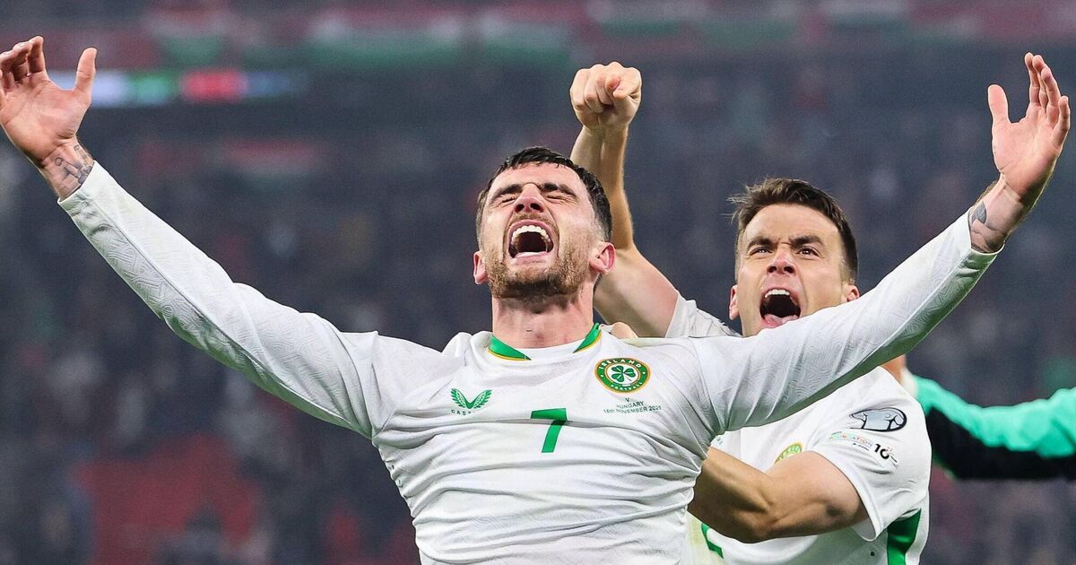 Pubs may be allowed open early for World Cup matches if Ireland qualifies 