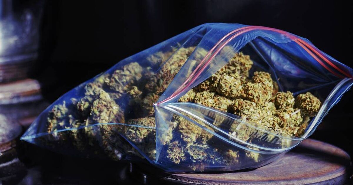 Cork man charged over alleged €600k cannabis find remanded in custody