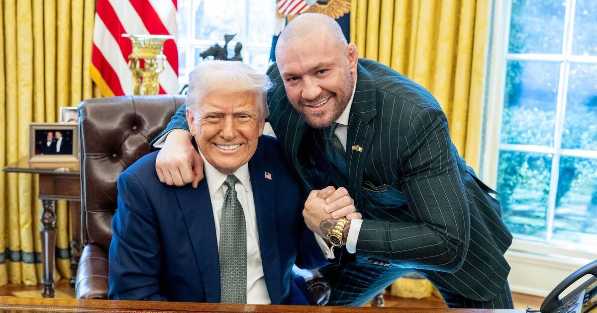 Conor McGregor 'the very worst of Irish society' – Simon Harris