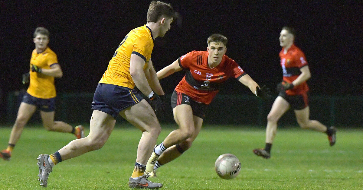 Two Cork players included in Sigerson Cup Team of the Year