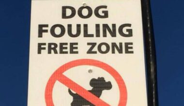 Councillor says Cork council should get its sh*t together over 'shock' dog poo poster