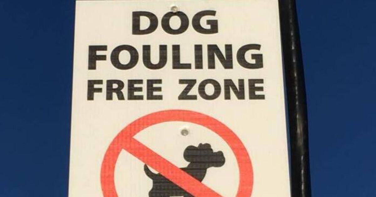 Councillor says Cork council should get its sh*t together over 'shock' dog poo poster
