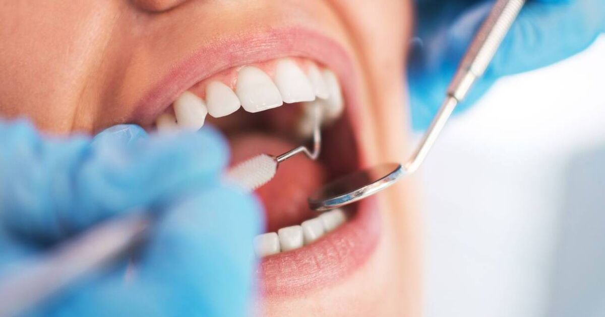 Hygienists could solve Ireland's dental health problems