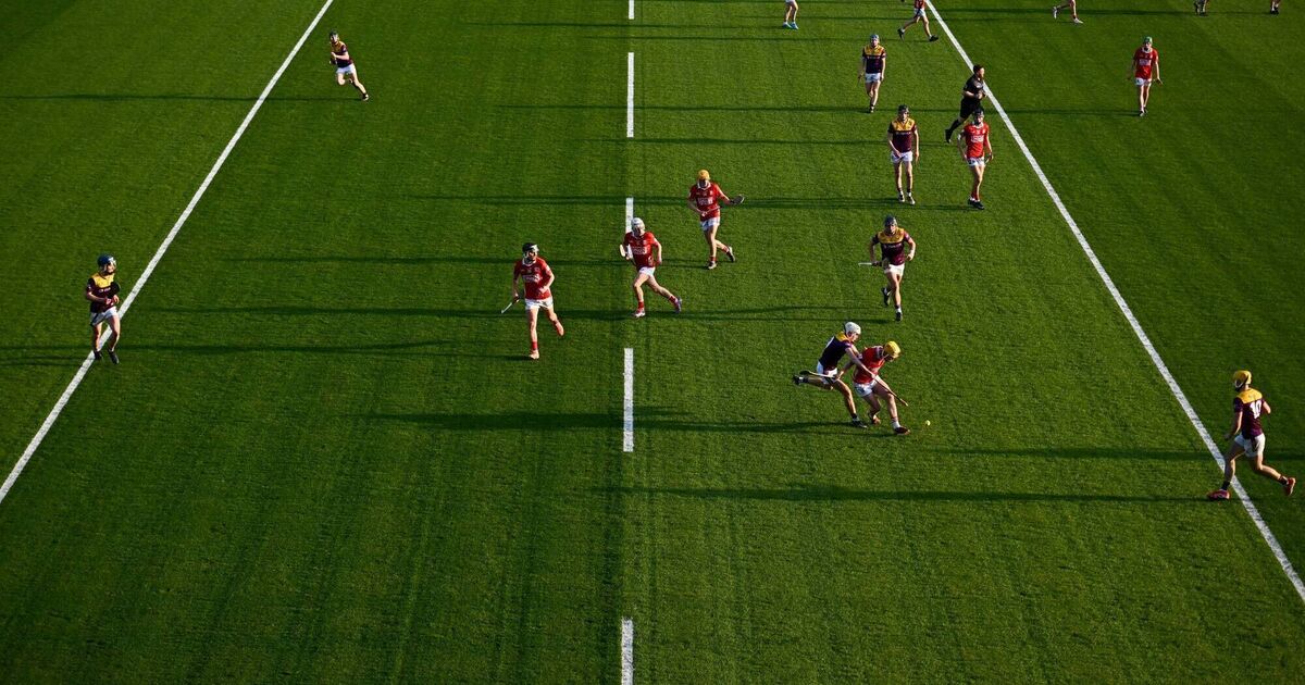 Bench press sees Cork minor hurlers beat Wexford in lively challenge match