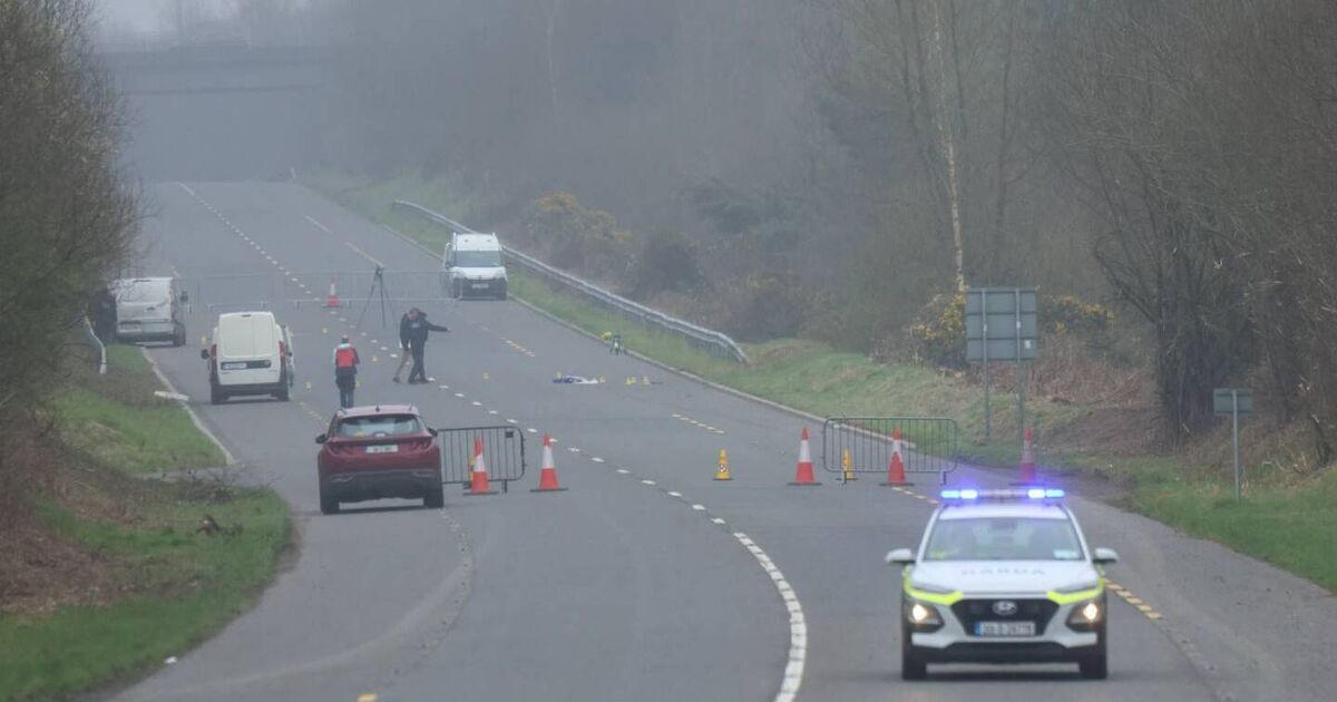 Gardaí probe whether woman assaulted in Tipperary was attacked by group after car rammed
