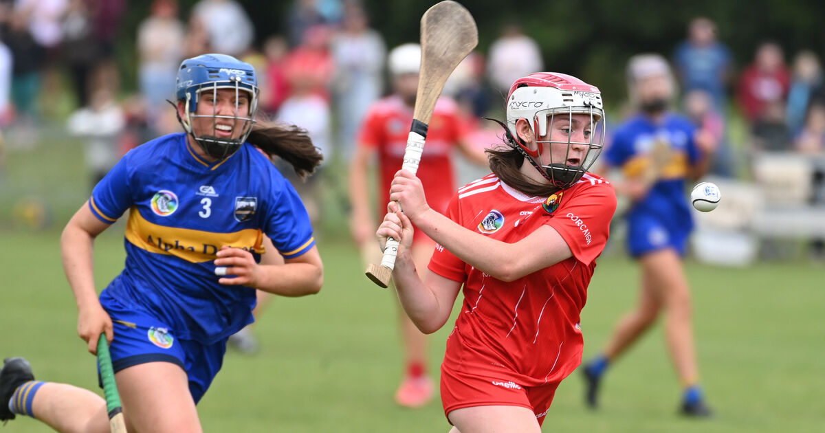 Cork U23 camogie side battle hard but Tipperary win to take the Munster U23 camogie title