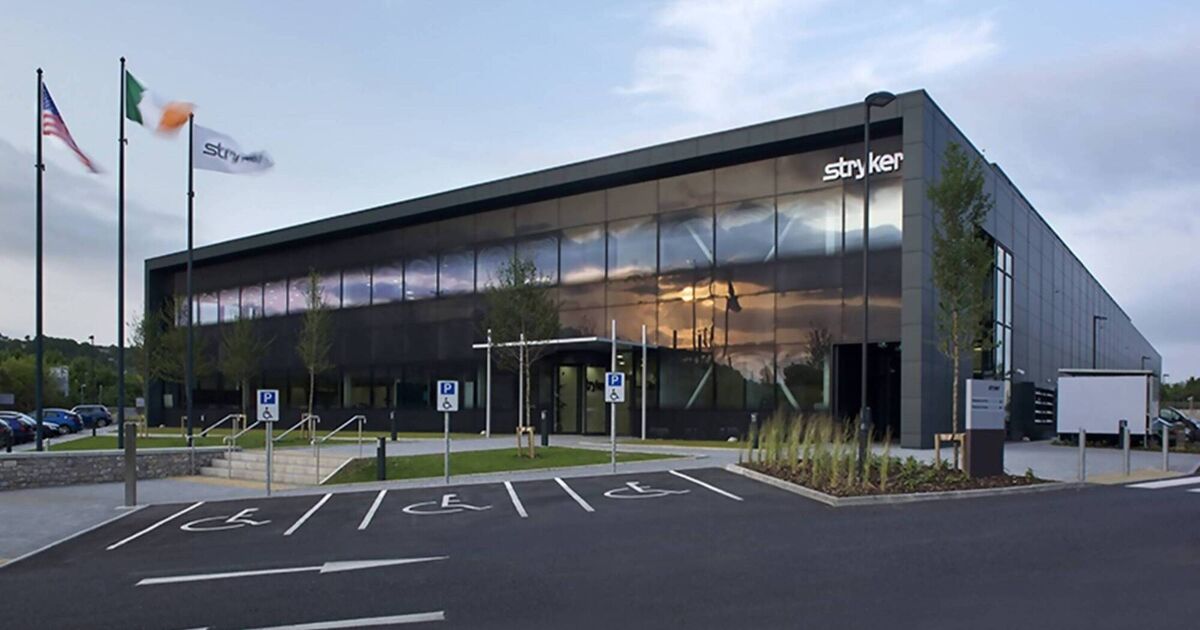 Hacker group behind Stryker attack forced to 'reorganise' after key figures killed in military action