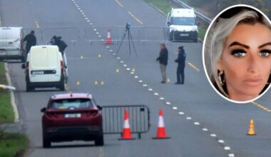 Gardaí want to question number of men and women over Tipperary assault on Limerick mother